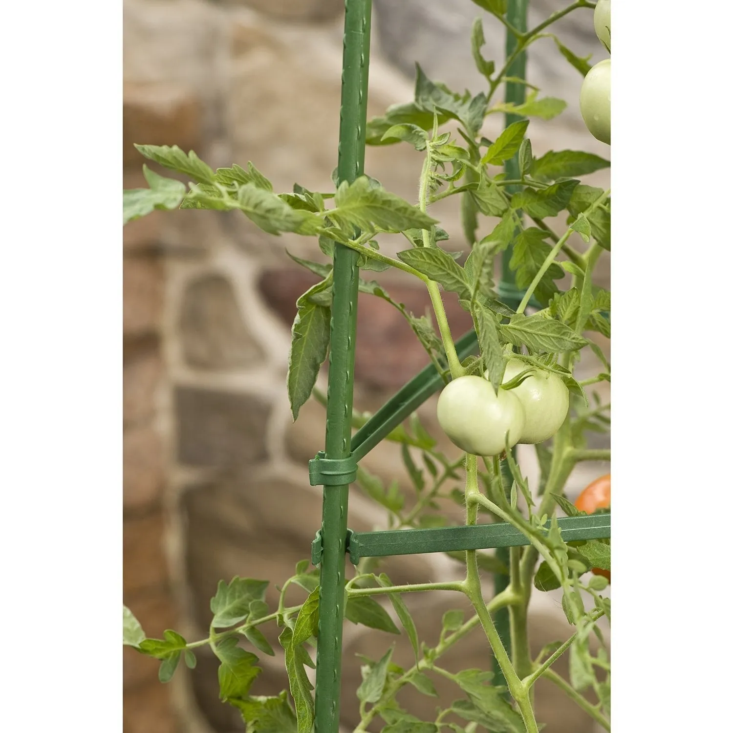 3-Pack of Tomato Plant Cage Climbing Fruit Veggie Garden Trellis