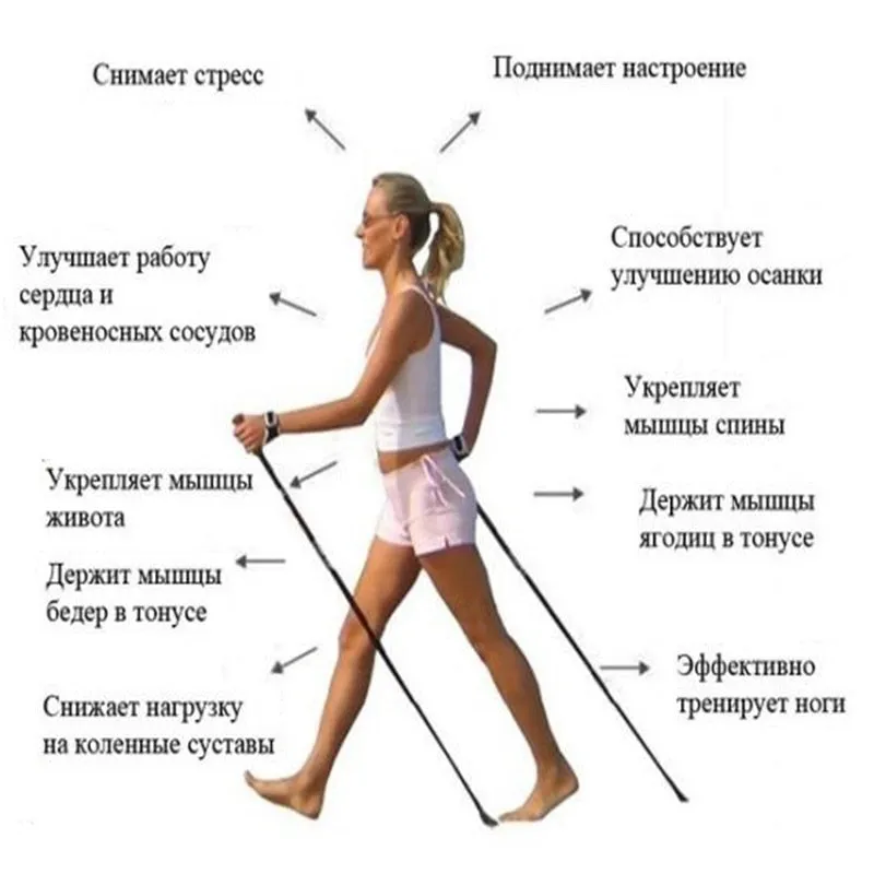Adjustable antishock trekking and hiking walking stick