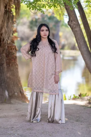 Blush Pink Beaded Embroidered Silk Shirt-Kurti