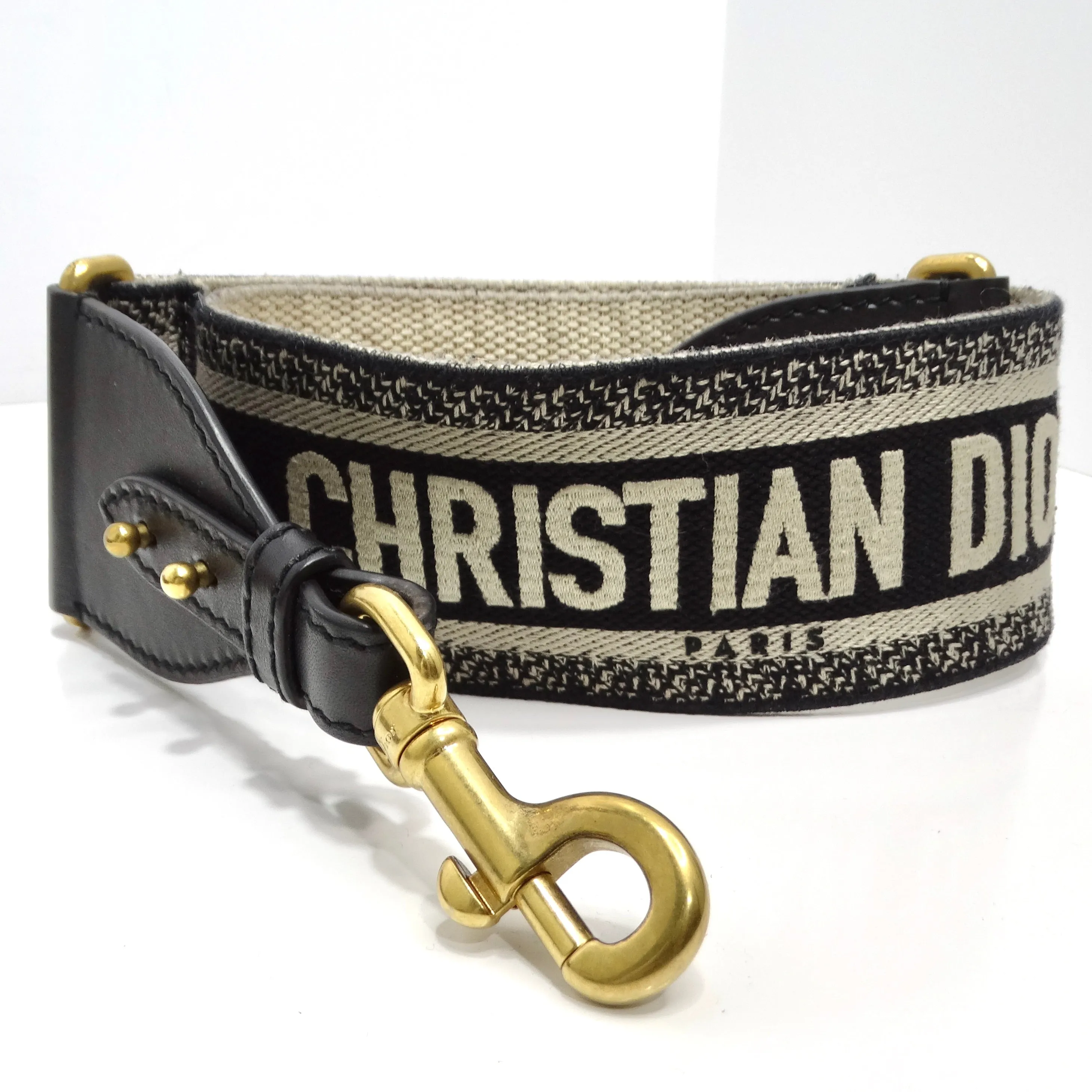 Christian Dior Medium Saddle Bag in Black Calfskin