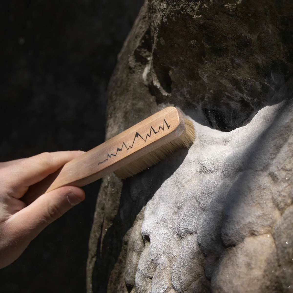 Climbing Brush Bundle