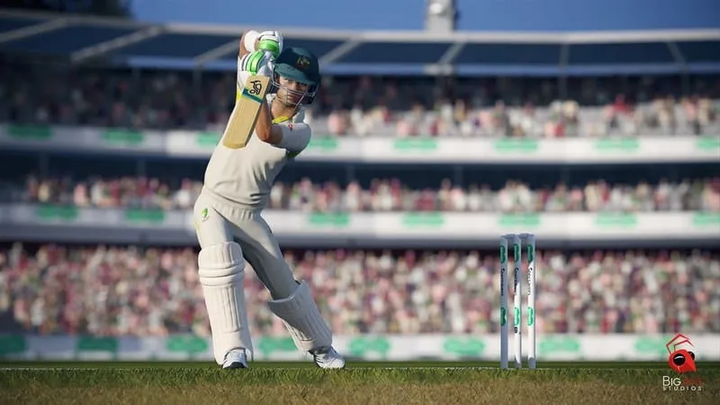 Cricket 2019 International Edition (PS4)