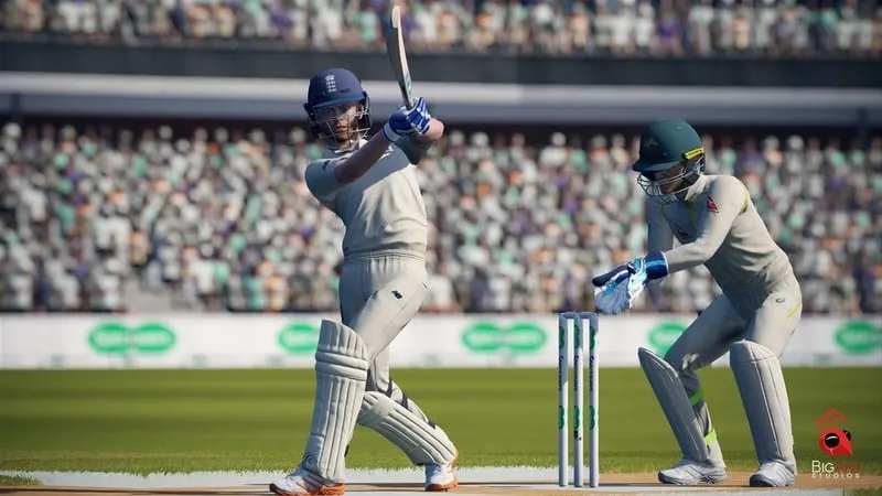 Cricket 2019 International Edition (PS4)
