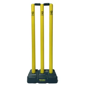Cricket Australia Rock n Roll Stumps
