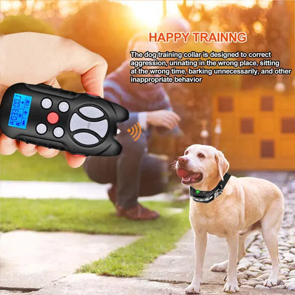 Dog Training Collar