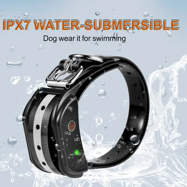 Dog Training Collar