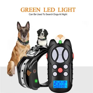 Dog Training Collar