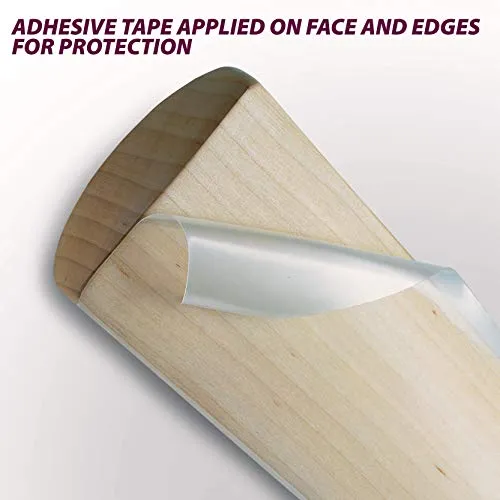 DSC Intense Force Kashmir Willow Cricket Bat for Leather Ball |Size-6 | Light Weight | Free Cover|
