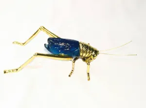 Feng Shui Golden Cricket