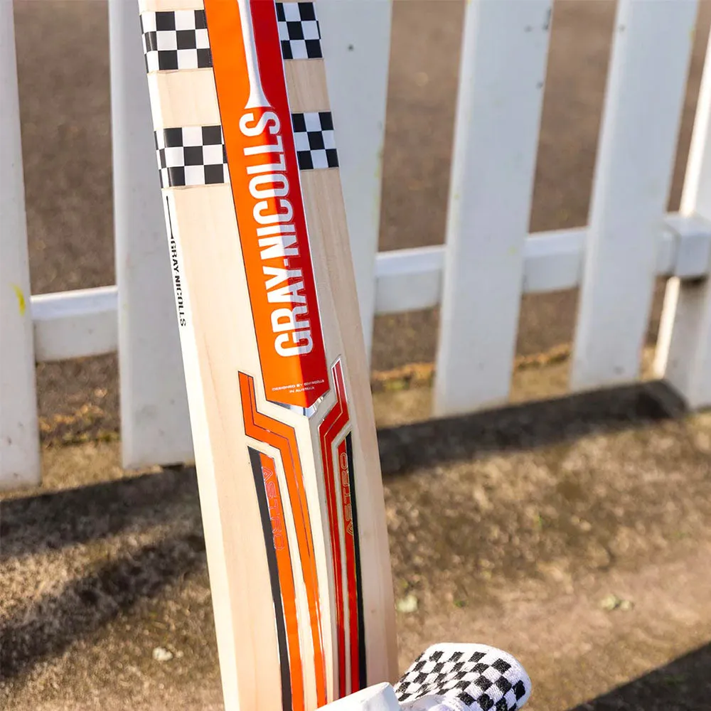 Gray Nicolls Astro 600 Cricket Bat