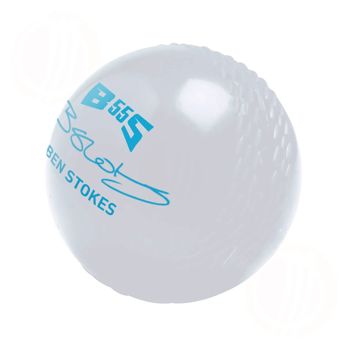 Gunn & Moore BS55 All Weather Cricket Ball
