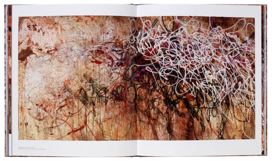 José Parlá : ADAPTATION / TRANSLATION book