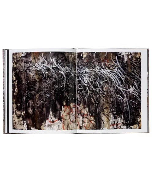 José Parlá : ADAPTATION / TRANSLATION book