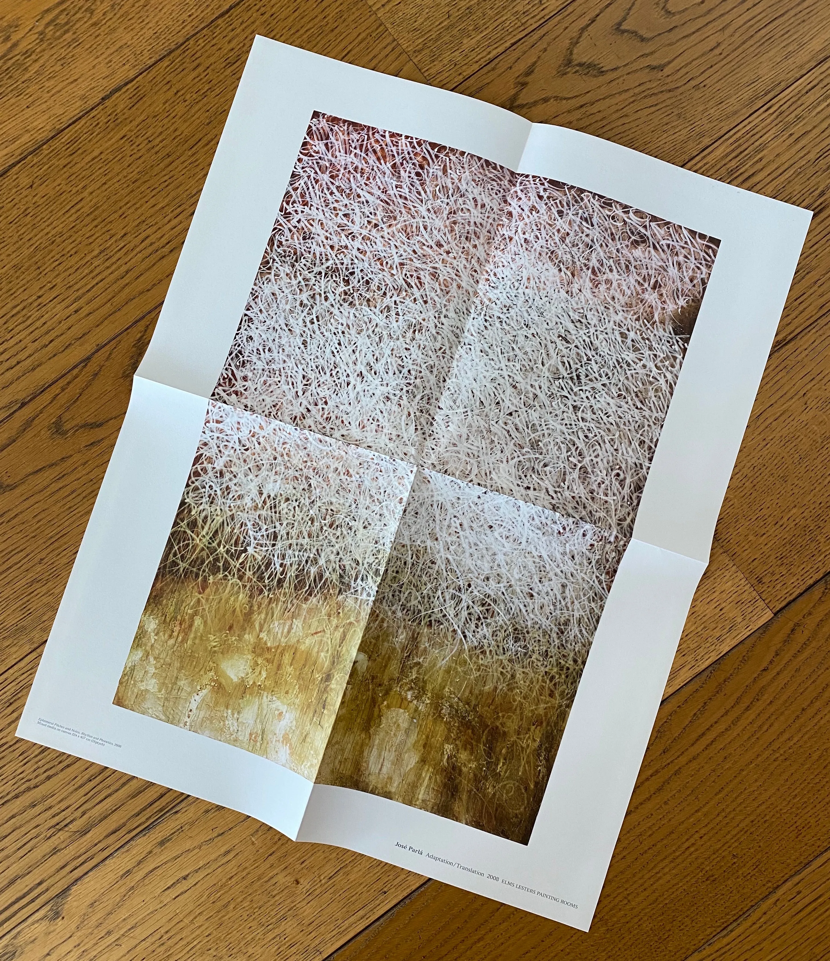 José Parlá : ADAPTATION / TRANSLATION book