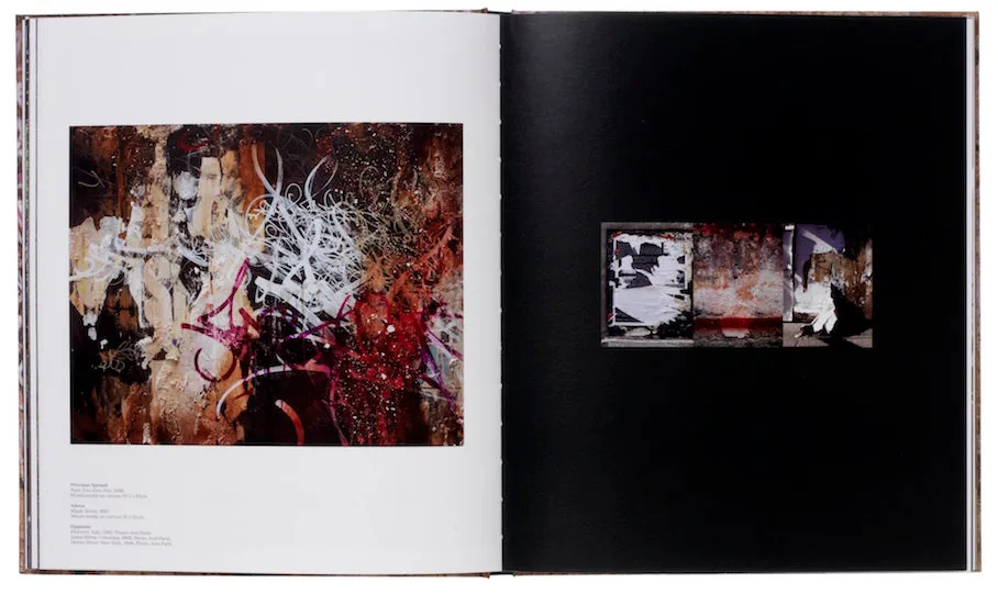 José Parlá : ADAPTATION / TRANSLATION book