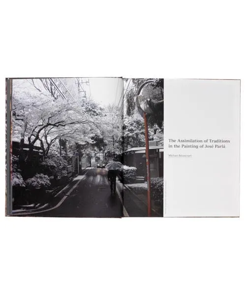 José Parlá : ADAPTATION / TRANSLATION book