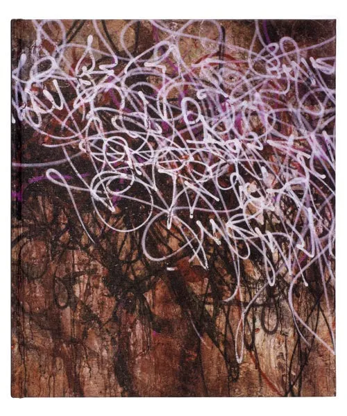 José Parlá : ADAPTATION / TRANSLATION book