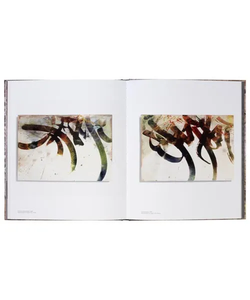 José Parlá : ADAPTATION / TRANSLATION book
