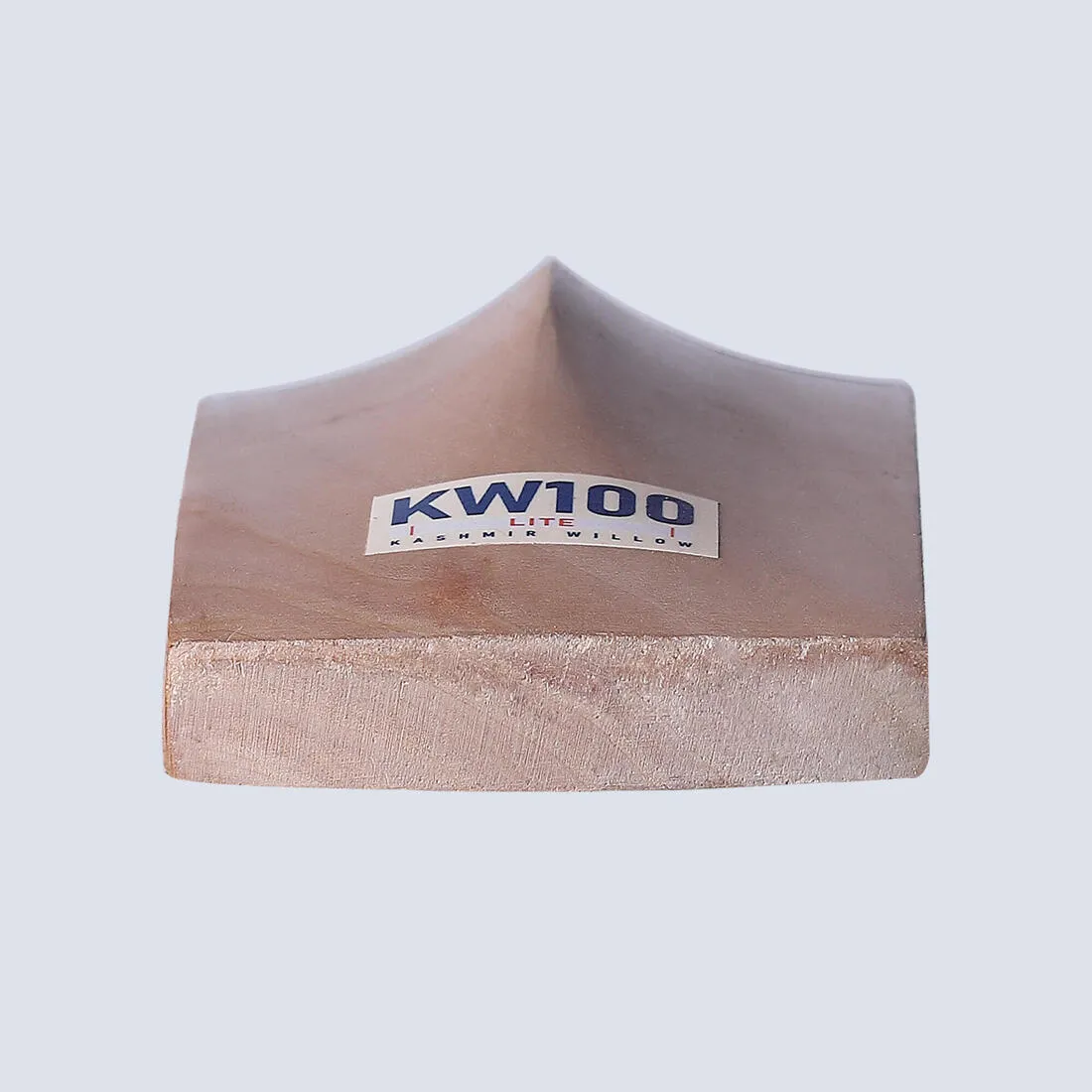 KIDS KASHMIR WILLOW CRICKET BAT KW 100 LITE JR