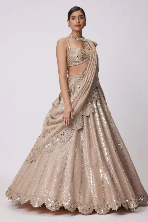 Light Beige Sequin Embroidered Lehenga Set