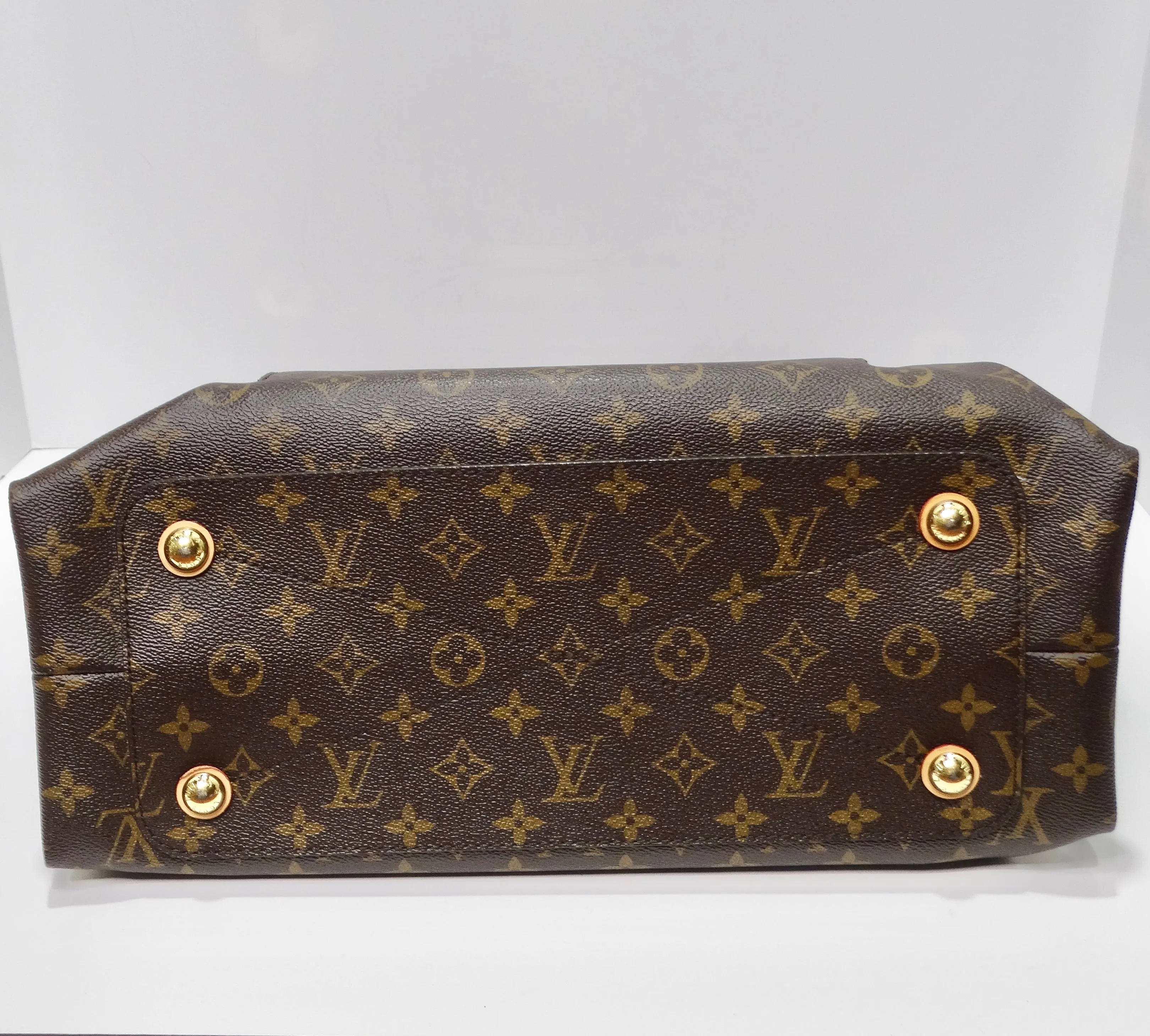 Louis Vuitton Monogram Olympe Havane Handbag