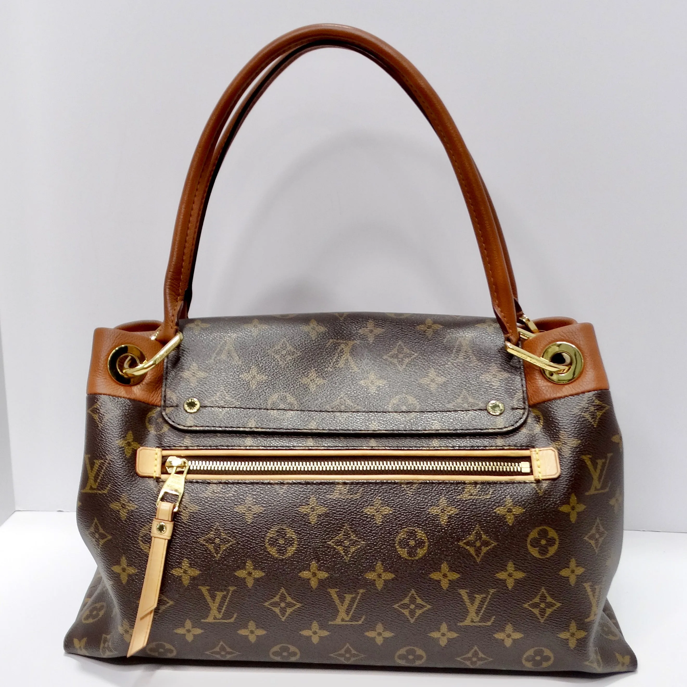 Louis Vuitton Monogram Olympe Havane Handbag