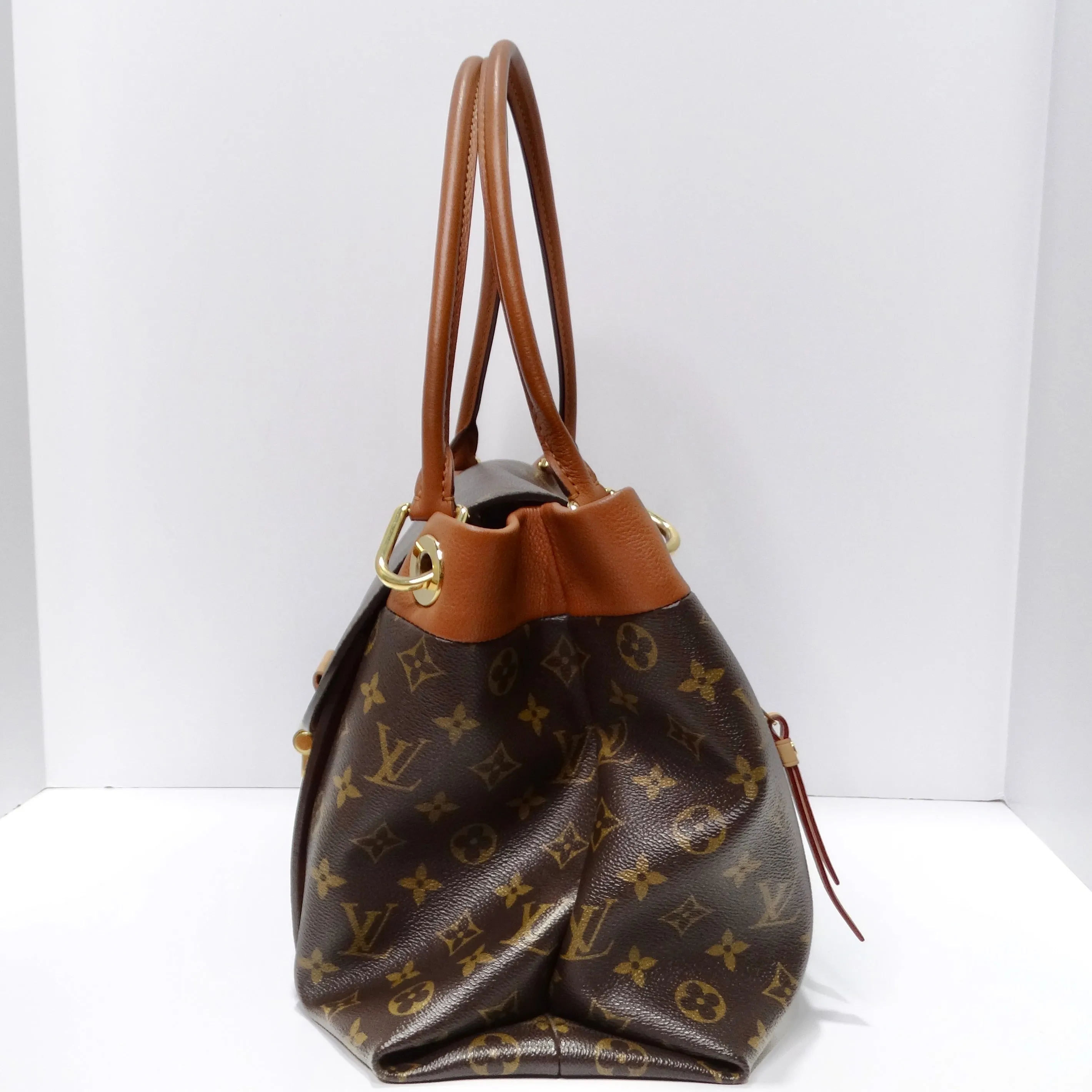 Louis Vuitton Monogram Olympe Havane Handbag