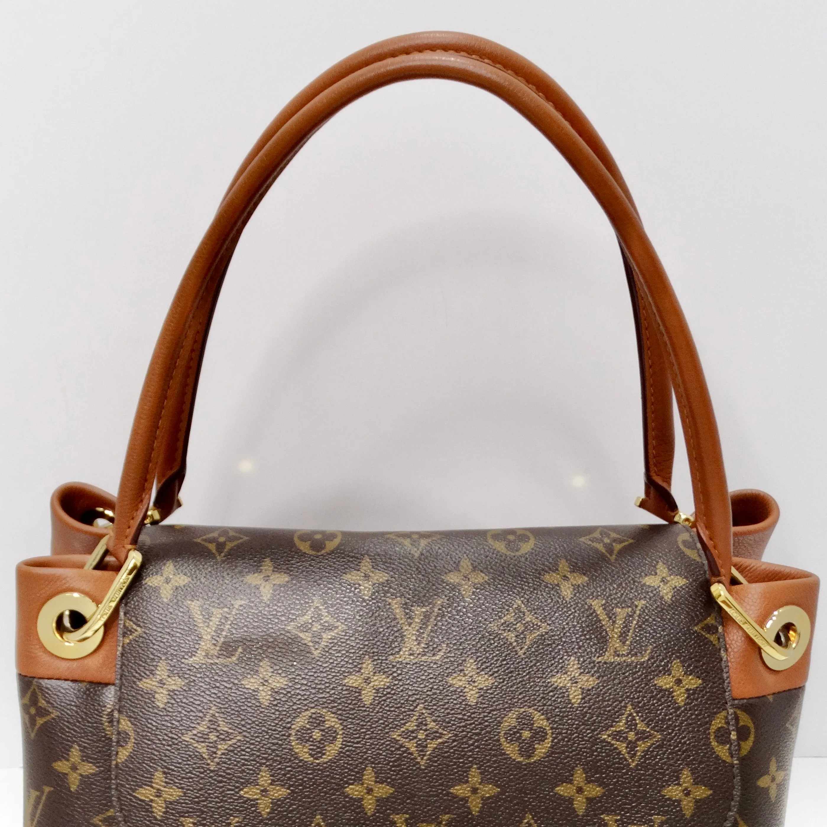 Louis Vuitton Monogram Olympe Havane Handbag