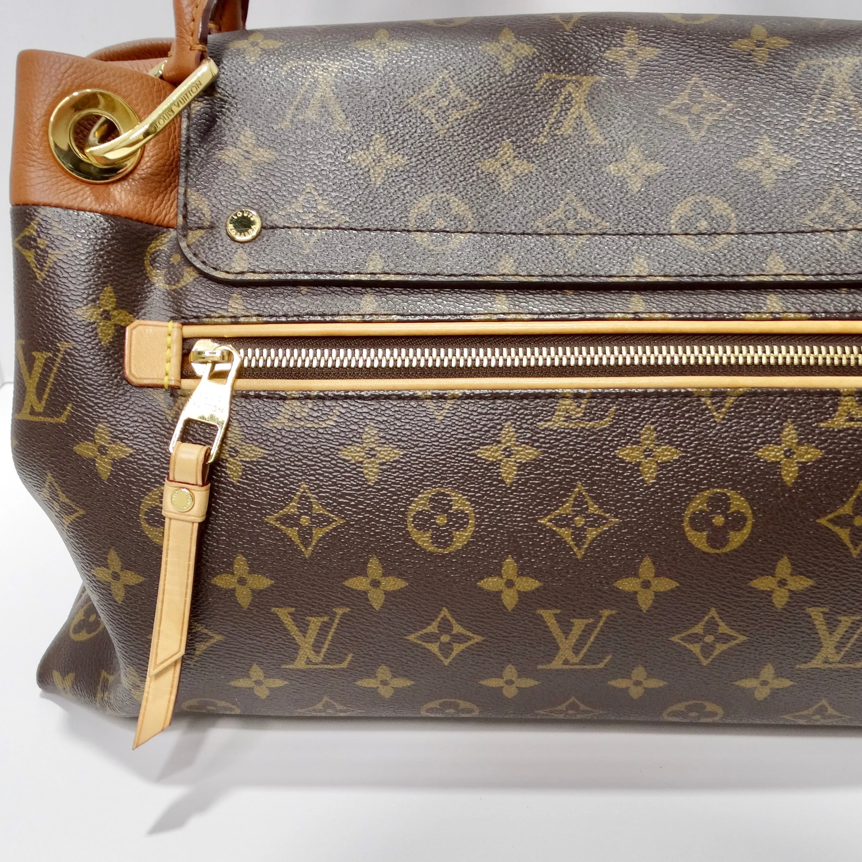 Louis Vuitton Monogram Olympe Havane Handbag