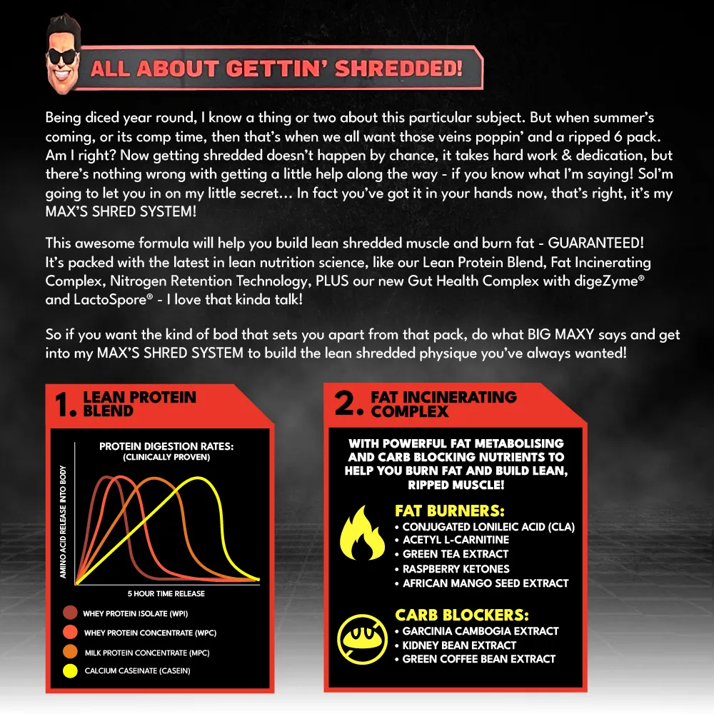 MAX'S Shred System Choc Brownie 900g