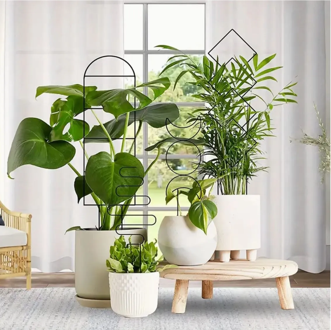 Mini Metal Plant Trellis