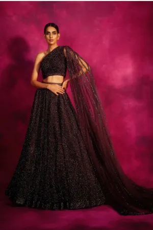 Oxidised Silver One Shoulder Veil Lehenga Set