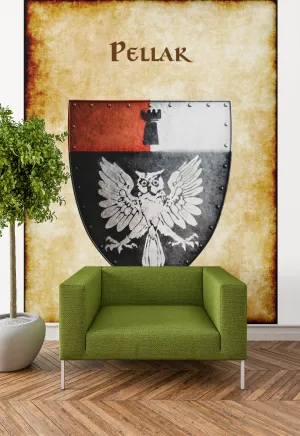 Pellak Heraldry of Greyhawk Anna Meyer Cartography Canvas Art Print