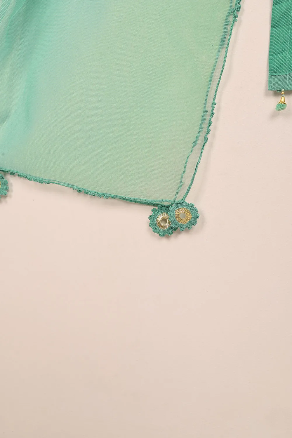 RTW-206-Green - 3Pc Ready to Wear 3Pc Javeria Net Embroidered  Dress