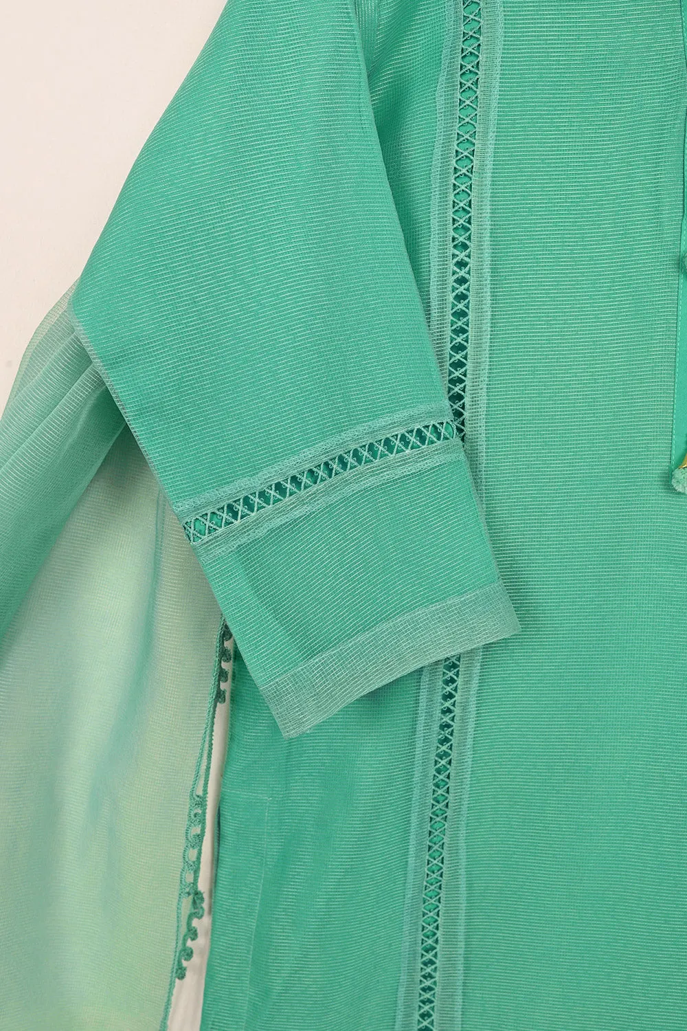 RTW-206-Green - 3Pc Ready to Wear 3Pc Javeria Net Embroidered  Dress