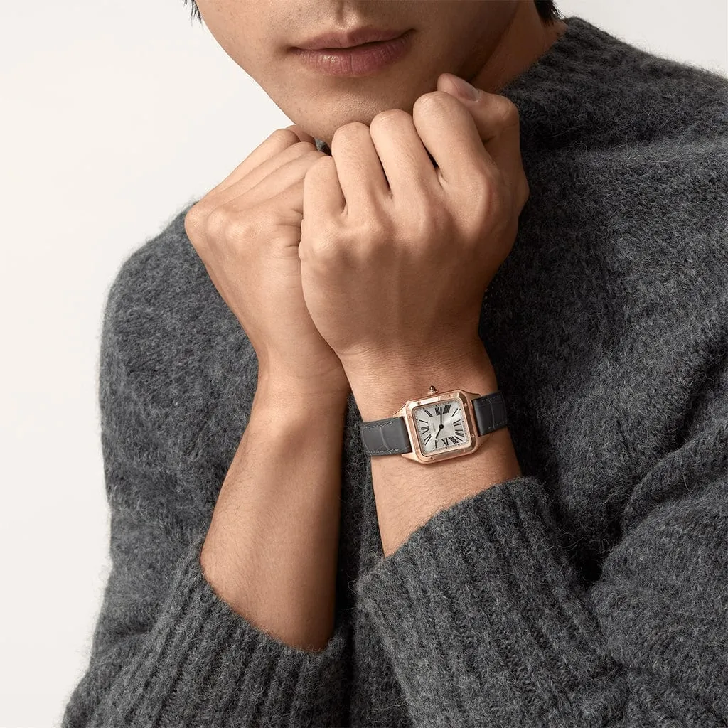 Santos-Dumont watch WGSA0022