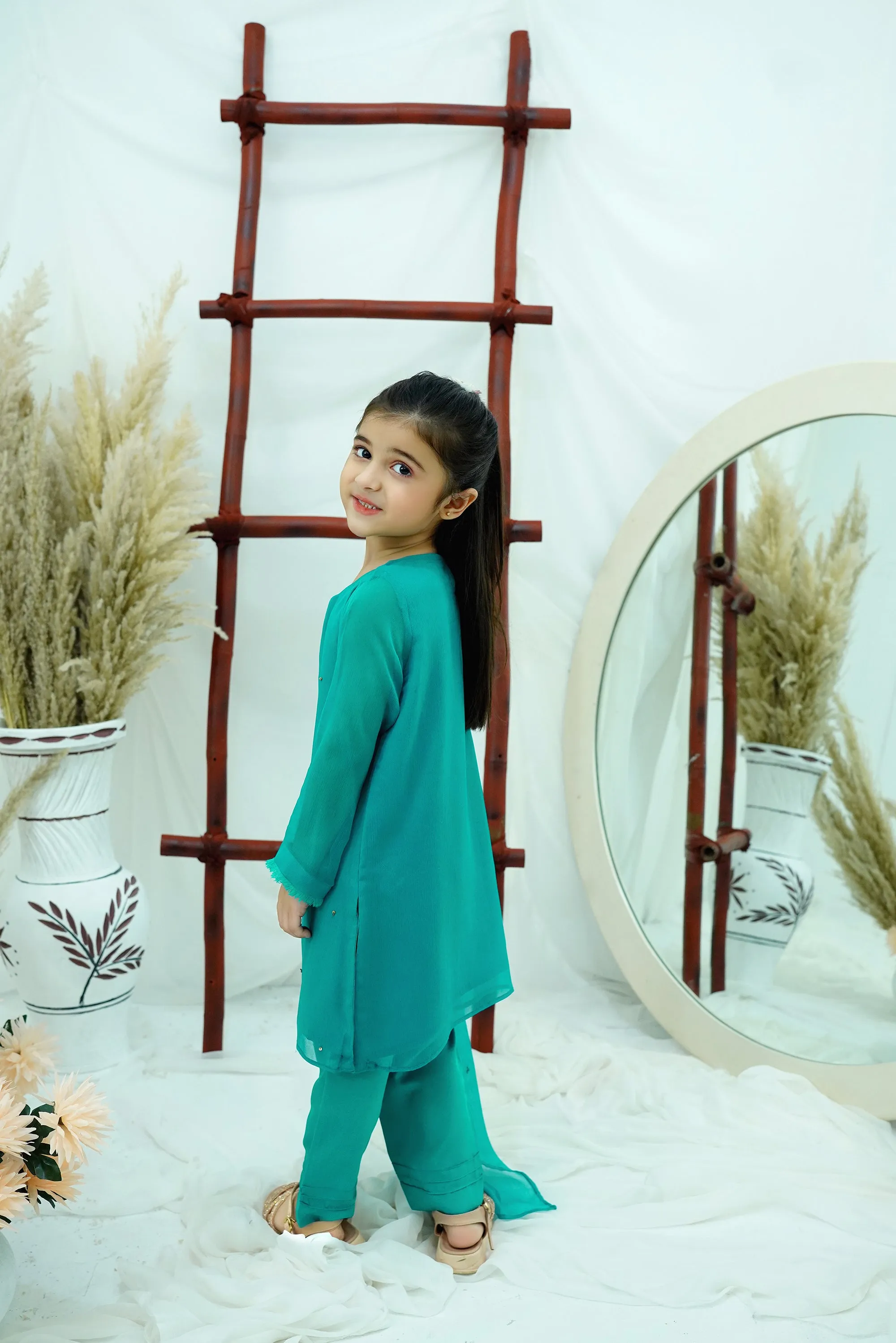 sea green Embroidered Chiffon