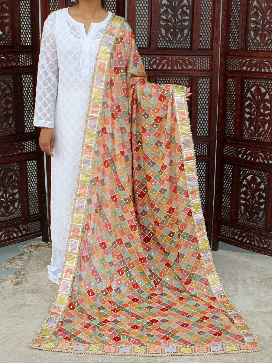 Sehar Multicolor Embroidered Georgette Dupatta