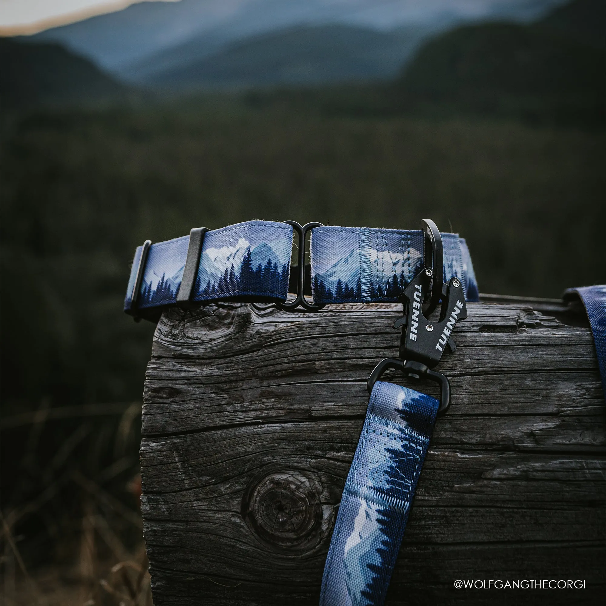 Sierra Nevada Leash