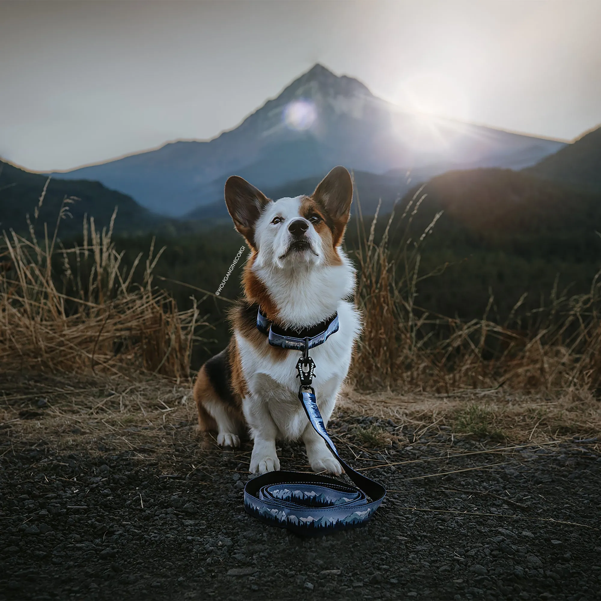 Sierra Nevada Leash