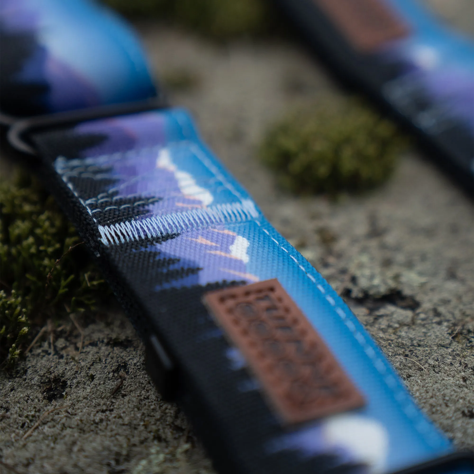Sierra Nevada Leash
