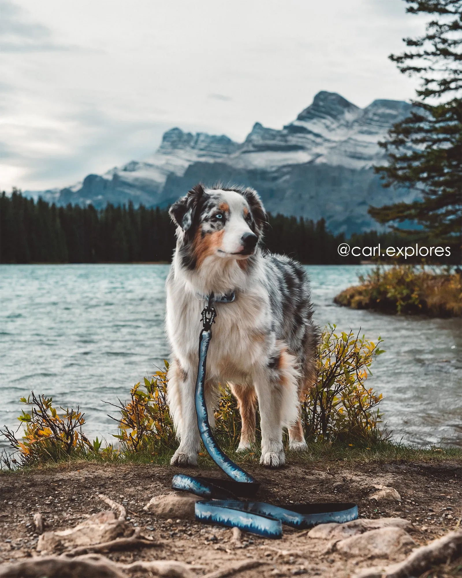 Sierra Nevada Leash