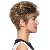SPARKLE - Wig by Raquel Welch