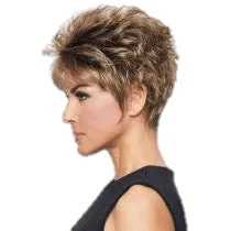 SPARKLE - Wig by Raquel Welch