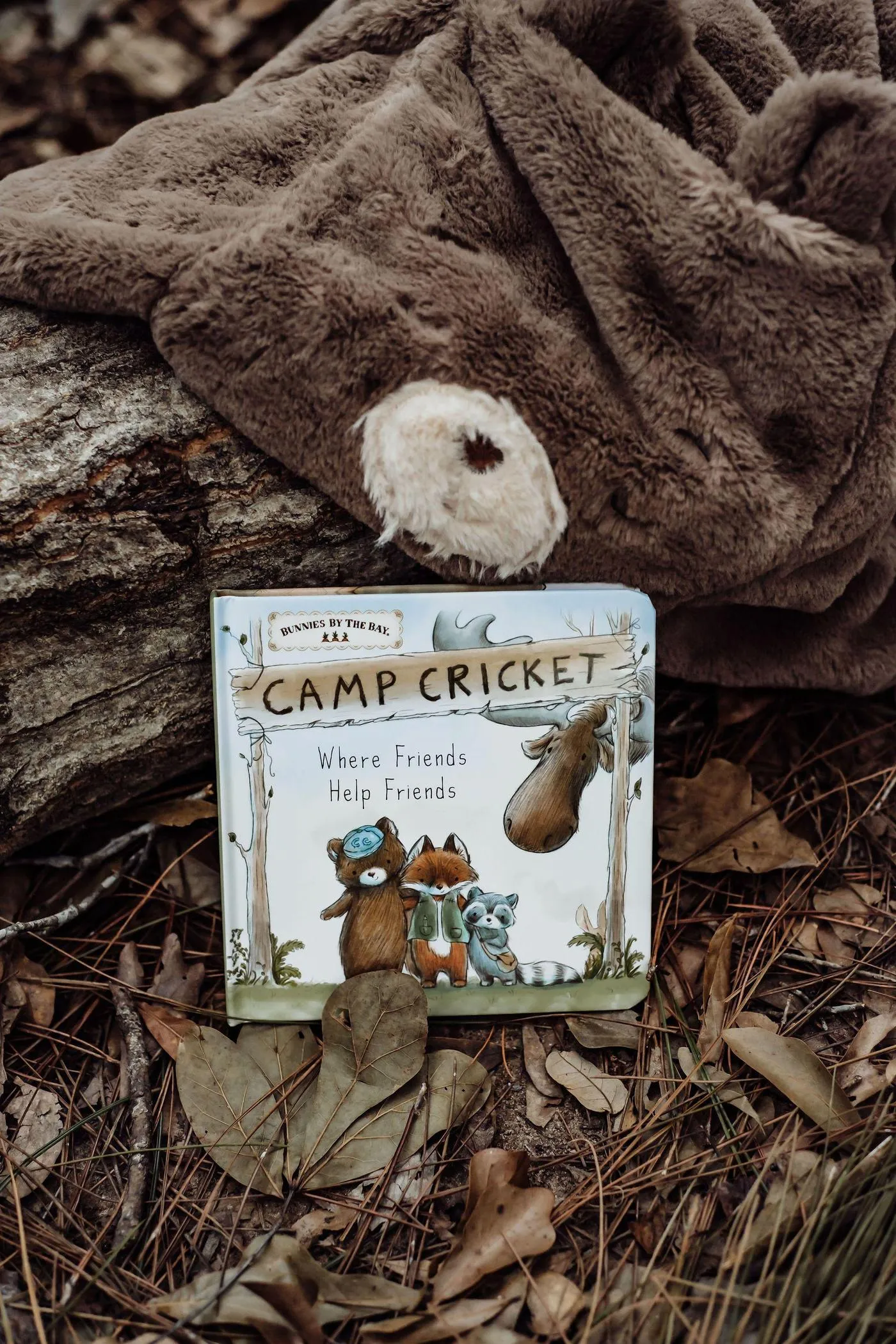 Wee Friends Story-Time Gift Set