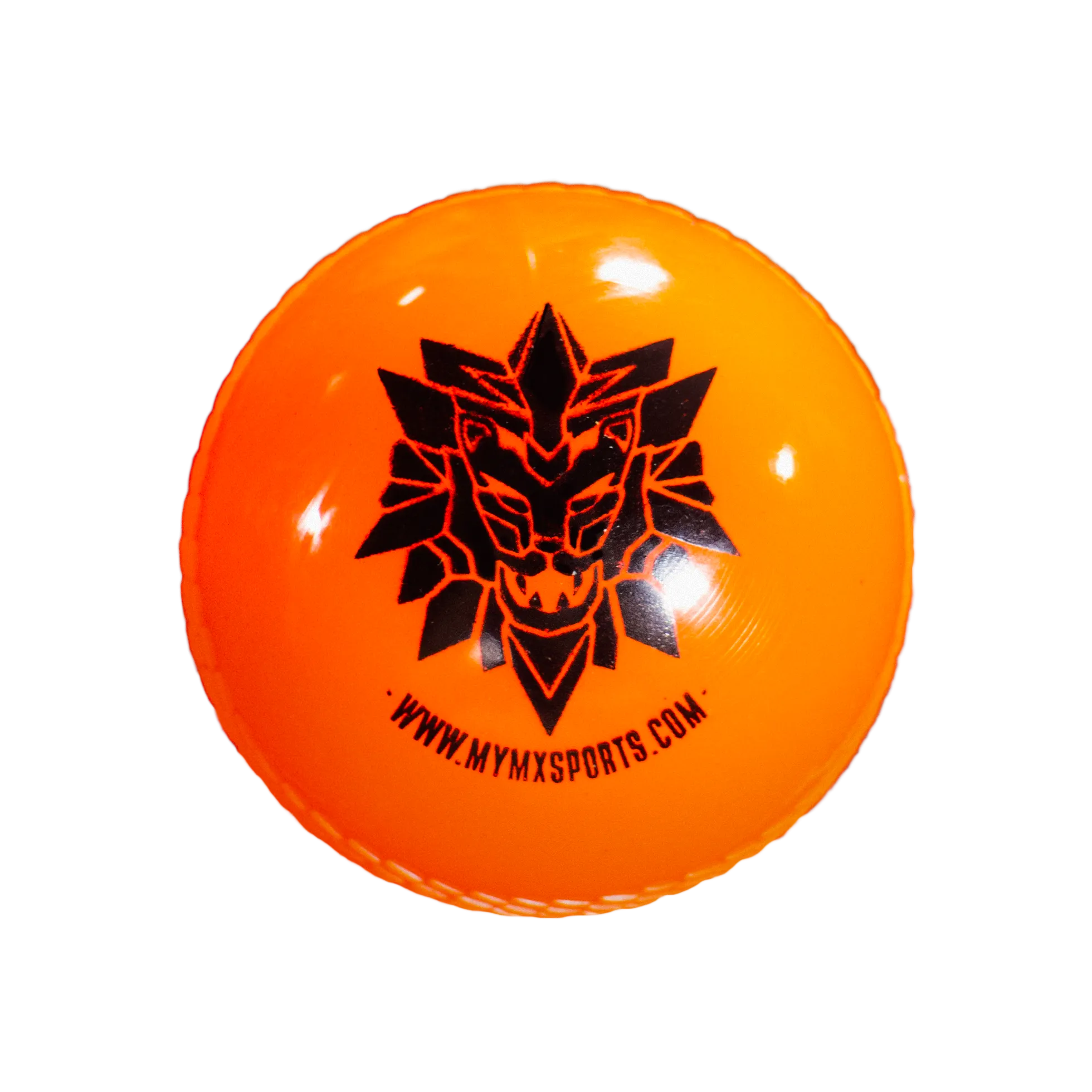 Windball-Cricket