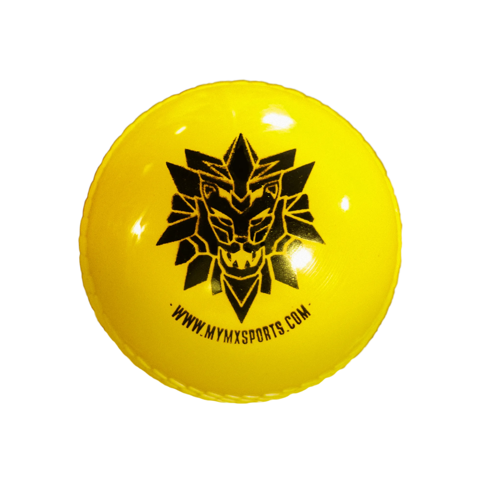 Windball-Cricket