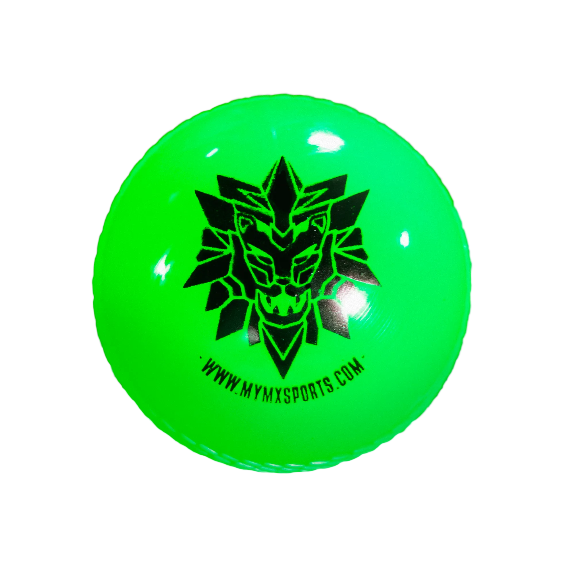 Windball-Cricket