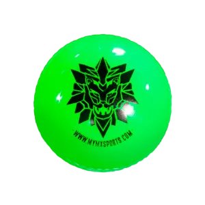 Windball-Cricket