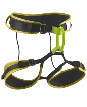 Zack Gym II